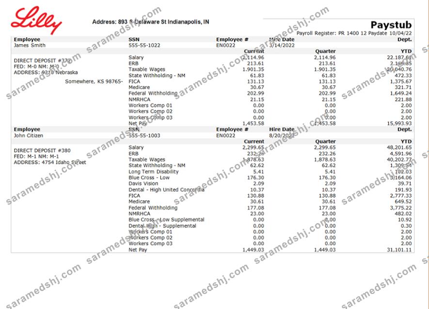 USA pharmaceutical company earnings statement